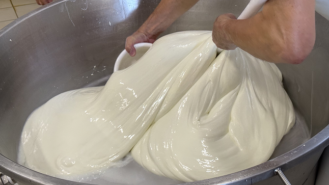 Dettaglio della mozzarella