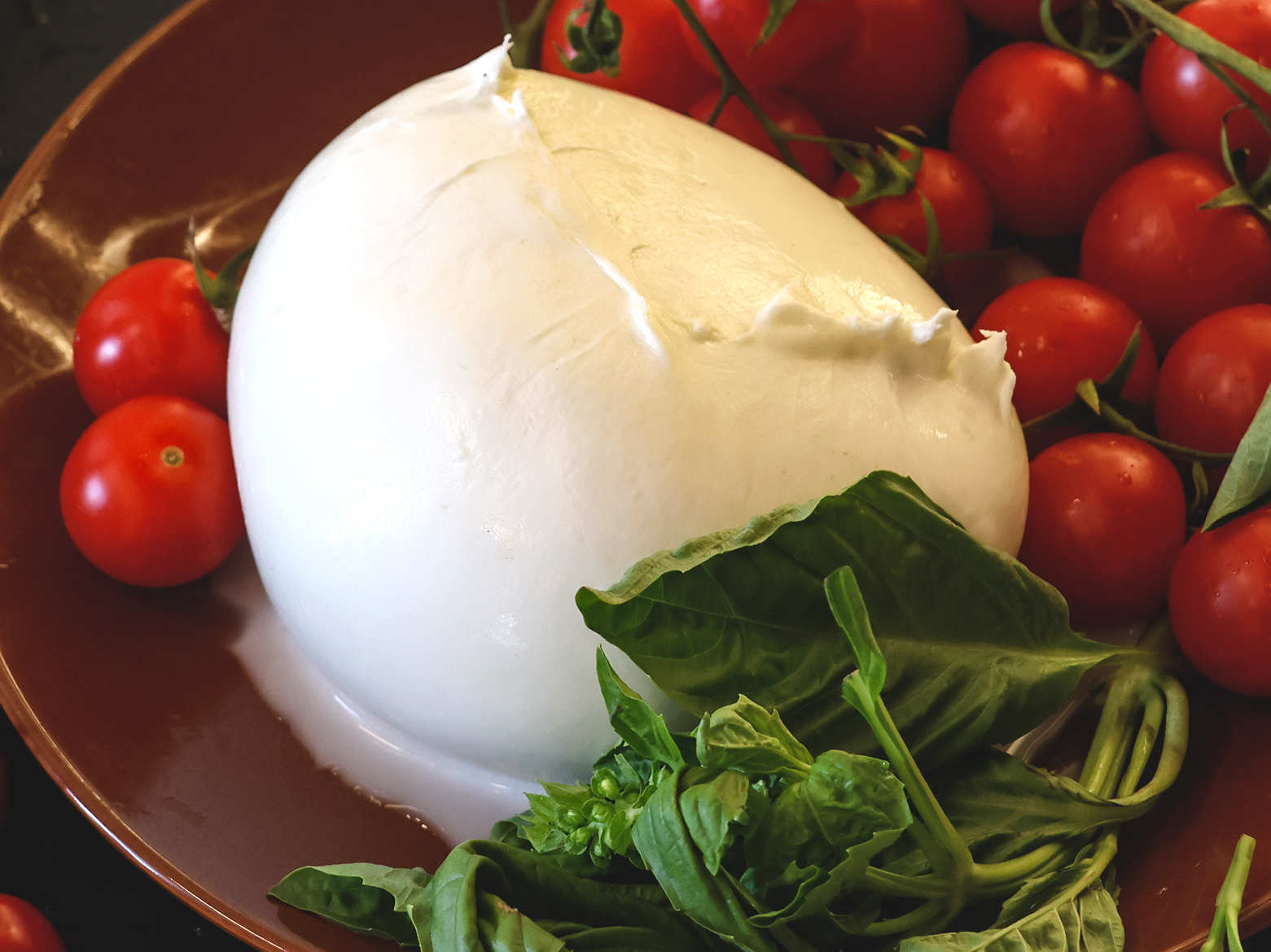 Mozzarella di latte di bufala